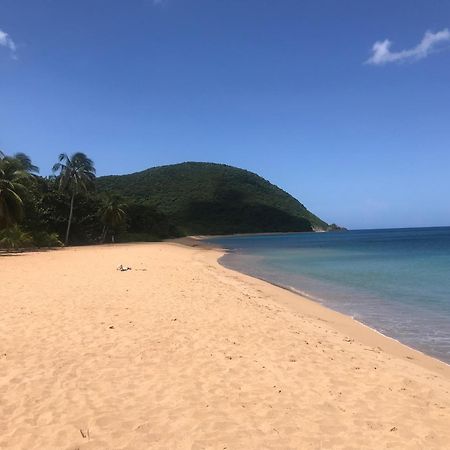 Villa Coco Caraibes Deshaies Extérieur photo