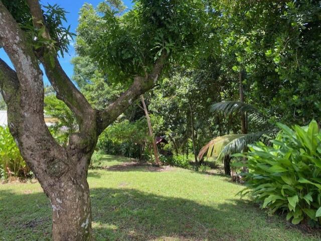 Villa Coco Caraibes Deshaies Extérieur photo