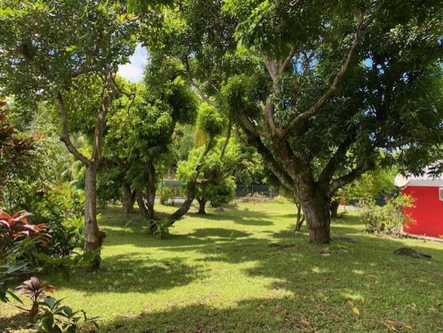 Villa Coco Caraibes Deshaies Extérieur photo