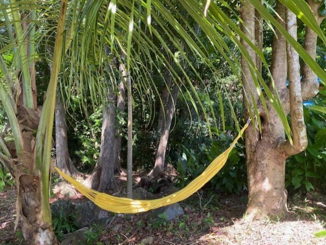 Villa Coco Caraibes Deshaies Extérieur photo