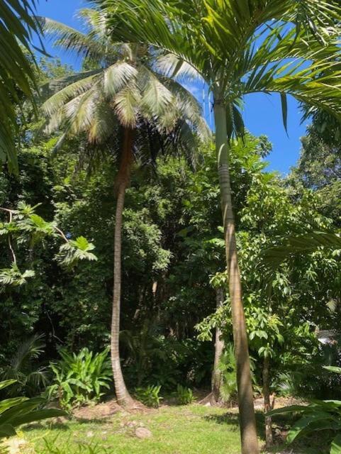 Villa Coco Caraibes Deshaies Extérieur photo